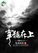 重生之宰辅在上完整