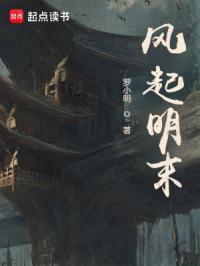 风起明末无广告