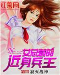 女总裁的近身兵王叶洛