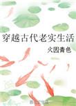 穿越古代老实生活作者火因青色
