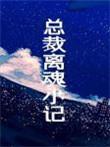 总裁离魂小记 by木三观