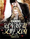 重生九零冠军娇妻又野又凶更新