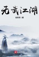无武江湖全本txt精校徐秀军