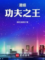 香港功夫之王