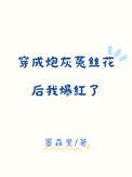 穿成炮灰by