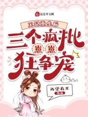 三个王爷上王妃
