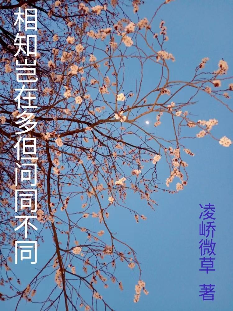 相知岂在多但问同不同背景