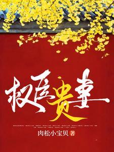 贵妻 番外