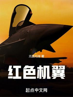 红色飞机叫什么