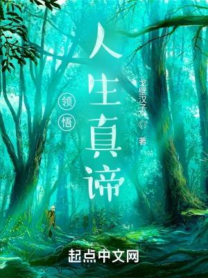 领悟人生真谛把握人生方向ppt免费