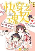 快穿之魂契大结局