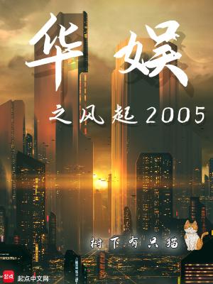 华娱之风起2005年