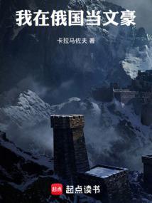我在俄国当文豪TXT全集
