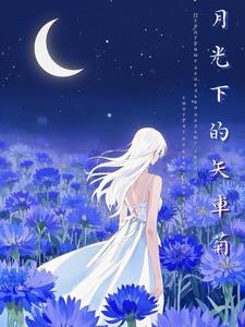 月光下的csv