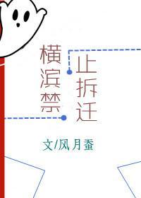 横滨禁止拆迁txt百度