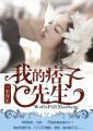 我的痞子先生无删减版