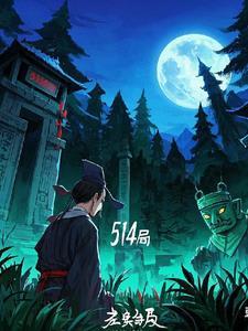 514局讲的什么故事