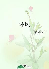 怀风高速示意图高清